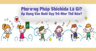 Phương Pháp Shichida Là Gì? Áp Dụng Nuôi Dạy Trẻ Như Thế Nào?