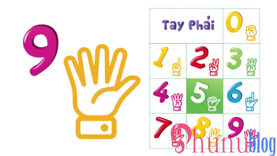 phương pháp học toán Finger Math Tay phải