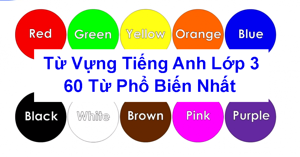 Từ Vựng Tiếng Anh Lớp 3