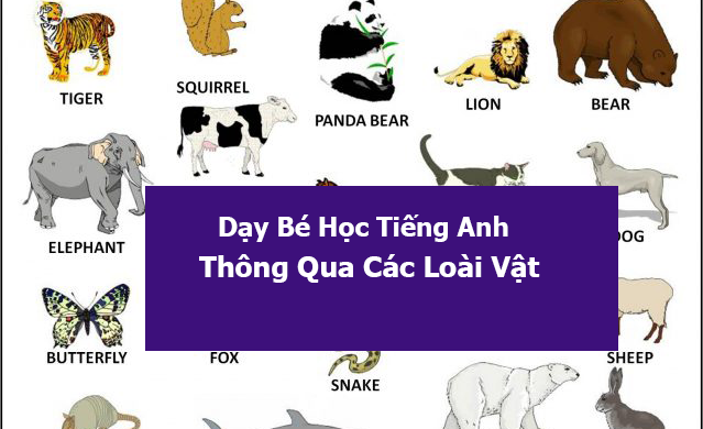 Dạy Bé Học Tiếng Anh Thông Qua Các Loài Vật