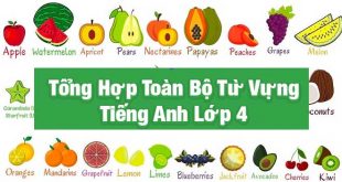 Từ Vựng Tiếng Anh Lớp 4 - Tổng Hợp Toàn Bộ Từ Vựng Của 20 Units