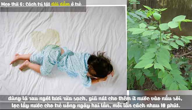 Mẹo Dân Gian Trị Tật Đái Dầm Ở Trẻ.jpg