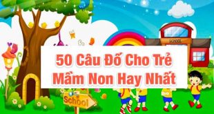 50 Câu Đố Cho Trẻ Mầm Non Giúp Bé Khám Pháp Thế Giới Xung Quanh
