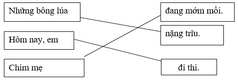 Câu 2 (1,5 điểm): Nối ô chữ để thành câu phù hợp: