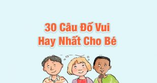 Câu Đố Vui Cho Bé