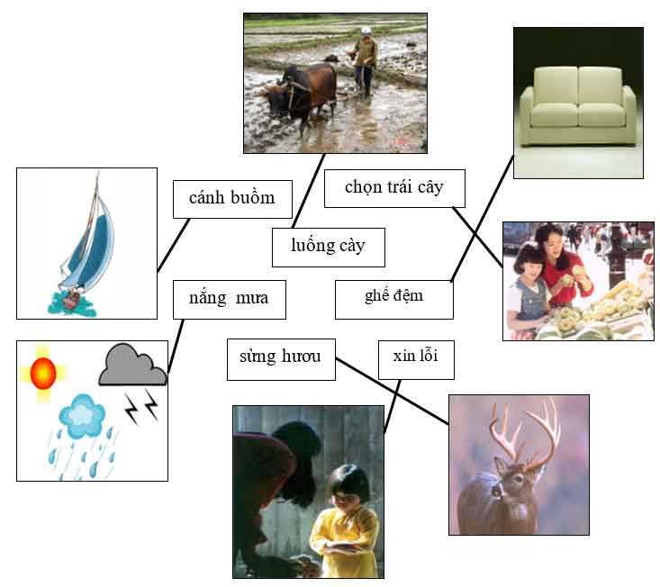 Câu 5. Nối chữ với hình (theo mẫu)