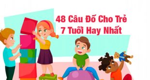 Câu Đố Trẻ Em 7 Tuổi - 48 Câu Đố Hay Giúp Bé Khám Phá Cuộc Sống