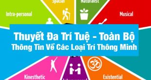 Thuyết Đa Trí Tuệ - Toàn Bộ Thông Tin Về Các Loại Trí Thông Minh