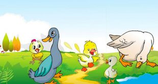 Truyện Chú Vịt Khàn