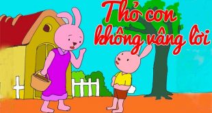 Truyện Thỏ Con Không Vâng Lời - Đầy Đủ Chi Tiết Kèm Giáo Án