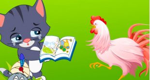 truyện mèo con và quyển sách