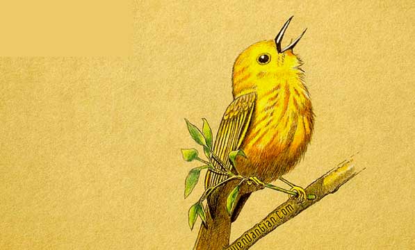 Truyện cho trẻ sơ sinh số 7 Chích chè! Chích chè che!