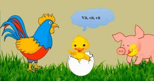 truyện quả trứng