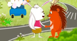 truyện vì sao thỏ cụt đuôi