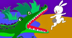 truyện chú thỏ tinh khôn