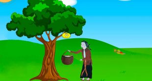 truyện quả thị