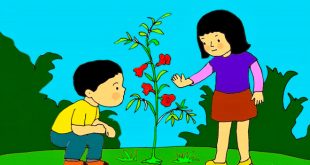 bài thơ hoa kết trái