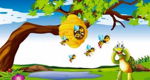 Truyện Rùa Con Tìm Nhà - Truyện Siêu Hay Cho Bé