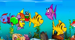 bài thơ rong và cá