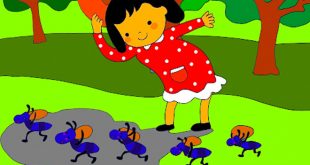 bài thơ chiếc bóng