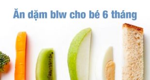ăn dặm blw cho bé 6 tháng