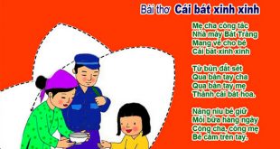 bài thơ cái bát xinh xinh