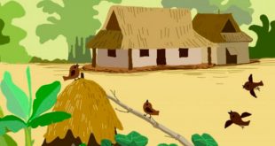 bài thơ ngôi nhà