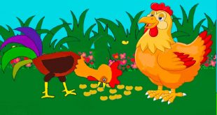 Truyện Gà Trống Choai Và Hạt Đậu