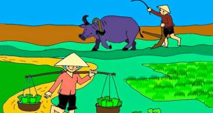 truyện chủ đề nghề nghiệp