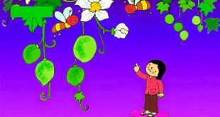 truyện mầm non chủ để thực vật