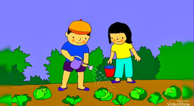 Truyện mầm non chủ đề thực vật số 1: Gói hạt kỳ diệu