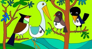 Truyện Bác Sĩ Chim