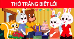 Truyện Thỏ Trắng Biết Lỗi