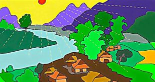 bài thơ mùa hạ tuyệt vời