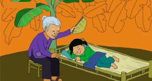 bài thơ chiếc quạt nan