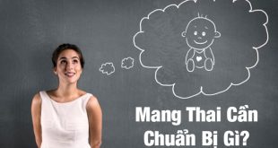 Chuẩn Bị Mang Thai - Những Thứ Mà Cả Vợ Và Chồng Phải Biết