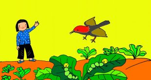 bài thơ chim chích bông