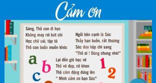 Bài Thơ Cảm Ơn Mầm Non - Lời Bài Thơ Và Giáo Án Chi Tiết