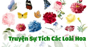 truyện sự tích các loài hoa