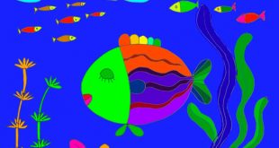 bài thơ cá ngủ ở đâu