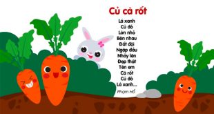 Bài Thơ Củ Cà Rốt Mầm Non - Thơ Cho Bé Và Giáo Án Cho Cô