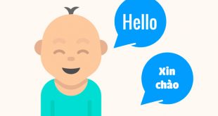 Có Nên Cho Trẻ Học Song Ngữ Hay Không? Lợi Ích và Tác Hại Là Gì?