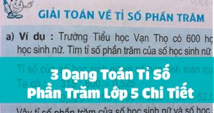 3 Dạng Toán Tỉ Số Phần Trăm Lớp 5 Chi Tiết Nhất Kèm Lời Giải