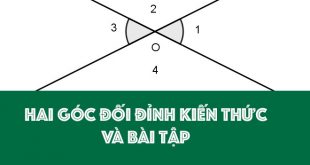 Hai Góc Đối Đỉnh - Tổng Hợp Kiến Thức Và Các Dạng Bài Tập