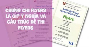 Chứng Chỉ Flyers Là Gì? Ý Nghĩa Và Cấu Trúc Đề Thi Flyers