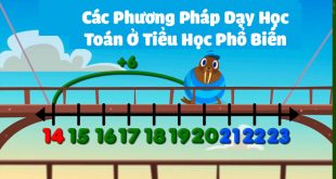 Các Phương Pháp Dạy Học Toán Ở Tiểu Học Phổ Biến Nhất