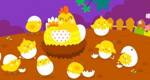 Bài Thơ Có Chú Gà Con - Nội Dung Chi Tiết Kèm Giáo Án