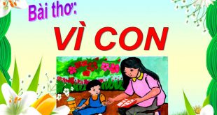 Bài Thơ Vì Con Mầm Non - Nội Dung Chi Tiết Và Giáo Án Tham Khảo