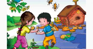 Truyện Ngôi Nhà Ngọt Ngào Mầm Non - Nội Dung Chi Tiết và Giáo Án