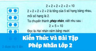 Phép Nhân Lớp 2 - Lý Thuyết Và Các Dạng Bài Tập Quan Trọng Nhất